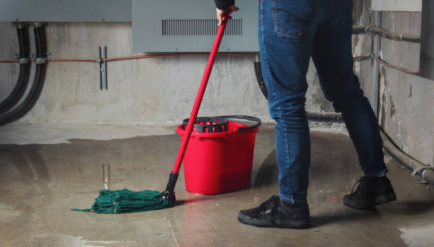 Best Water damage cleanup near me  in Margate City, NJ