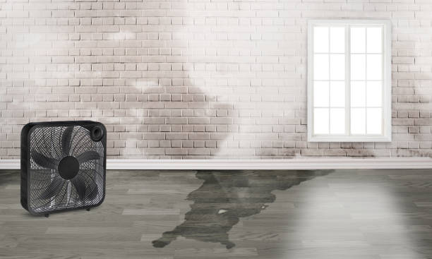 Best Emergency water damage restoration  in Margate City, NJ